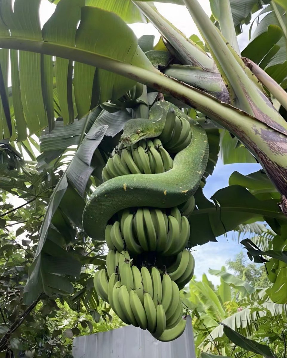 Vendo finca en oportunidad 🙆🏻‍♂️😵‍💫