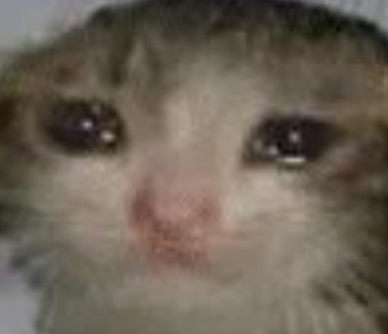 xxrain (@kittyx0811) on Twitter photo 