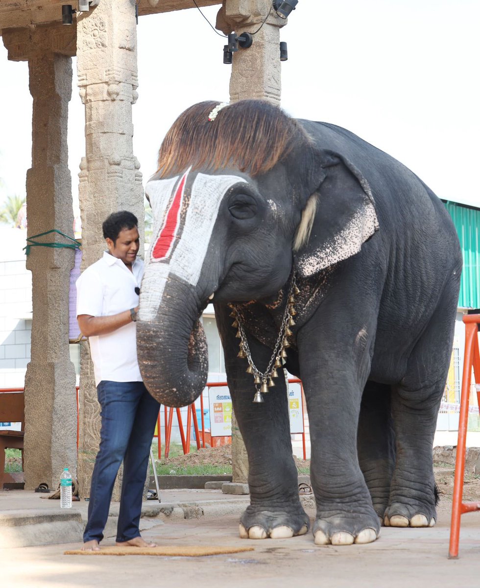 OfficeOfTRBR's tweet image. தமிழ்நாட்டில் இதுவரை 3740 திருக்கோவில்களுக்கு குடமுழுக்கு செய்து  மக்கள் போற்றும் மகத்தான ஆட்சியியை வழங்கி வரும் மாண்புமிகு தமிழ்நாடு முதலமைச்சர் திரு.@mkstalin அவர்களின் நல்லாட்சியில் நிதி ஒதுக்கீடு செய்யப்பட்டு, மன்னார்குடி - அருள்மிகு இராஜகோபாலசுவாமி திருக்கோவிலில்…