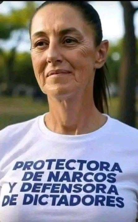 solvar2011's tweet image. QEPD Carlos Manzo.
Estamos hasta la madre de Morena y de ti @Claudiashein .
Despierta Mexico!!!!