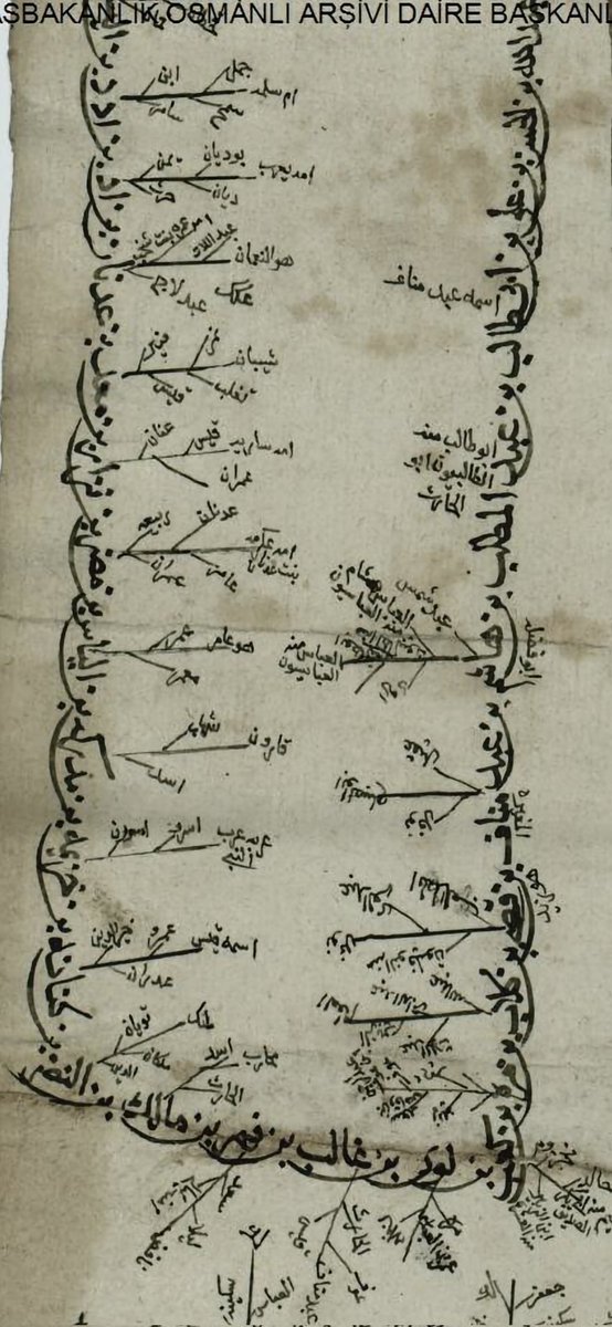 arsivleri98's tweet photo. الوثيقة لا تقتصر فقط على تسلسل النسب الهاشمي إلى عدنان، بل تحتوي كذلك على تشعبات دقيقة في بطون العرب العدنانيين، حيث ذُكرت تفرعات وأسماء أمهات وأبناء يمثلون أصول القبائل العربية الكبرى.

فمن “مضر” على سبيل المثال، وردت الإشارة إلى ربيعة، وعمران، وعامر، وعدنان، كما ذُكرت عكرمة بنت عدنان في موضع خاص، وهي إشارة نادرة في مشجرات الأنساب القديمة، تُظهر اهتمام كاتب الوثيقة بإثبات التكامل النسبي بين فروع الرجال والنساء في السلسلة العدنانية.

هذا النوع من المشجرات يدل على أن واضع الوثيقة كان ملمًّا بأنساب العرب العدنانية والهاشمية معًا، ولم يقتصر على خط نسبٍ واحدٍ، بل أبرز العلاقات بين البطون الكبرى مثل مضر، ربيعة، وعدنان، وهو ما يعكس عمق الفهم النَّسَبي في بيئة العلماء أو النسّابين الذين كانوا يجمعون بين الرواية القرآنية والتاريخ القبلي العربي.

وبذلك، فإن الوثيقة تُعد من الوثائق النادرة التي تُظهر تشعبات العرب العدنانيين من الجذور الأولى (مضر وعدنان) وصولًا إلى فروعهم الهاشمية والطالبيّة في الحجاز.

ما يتوافق تمامًا مع كتب أنساب أهل السنة:

الأنساب العربية الثابتة عند المؤرخين مثل ابن الكلبي، وابن حزم، والبلاذري، وابن عبد البر، وابن دريد، كلهم يذكرون نفس التسلسل العدناني تقريبًا:

> عدنان → معد → نزار → مضر → إلياس → مدركة → خزيمة → كنانة → النضر → مالك → فهر → غالب → لؤي → كعب → مرة → كلاب → قصي → عبد مناف → هاشم → عبد المطلب → عبد الله → النبي ﷺ.

كما أنهم يذكرون أن مضر هو أحد أبناء نزار بن معد بن عدنان، ومنه تفرعت قبائل عظيمة مثل قيس عيلان (ومنها هوازن وسليم وعامر)، وإلياس بن مضر (ومن ذريته مدركة، وخزيمة، وكنانة).

أما ربيعة فهي أخو مضر، وكلاهما من أبناء نزار بن معد بن عدنان، وليسا من ذريته كما يظن بعض الناس. فذكرهم ضمن التسلسل بهذا الشكل لا يخالف ما في كتب النسب، لكنه قد يكون من باب الاستطراد لبيان إخوة مضر، لا أنه من نسله.
ثانيًا: ما هو غريب أو نادر لكنه لا يُعد مخالفة:

ذكر “عمران” ضمن أبناء مضر أو عدنان قليل جدًا في المصادر، لكنه يُحتمل أن يكون تصحيفًا عن “عمرو” أو اسمًا لأحد الفروع الضعيفة الذكر في الروايات النسبية.

كذلك ذكر “عكرمة بنت عدنان” هو تفصيل نادر جدًا، لكنه لا يُعتبر خطأ، لأن بعض النسّابين يذكرون أسماء بنات عدنان وعددًا من ذريته الإناث وإن لم يكن ذلك شائعًا في كتب الأنساب الرسمية، فيُرجح أن كاتب الوثيقة كان موسّعًا في جمع كل من نُسب إلى عدنان، رجالًا ونساء.

الخلاصة:

التسلسل الموجود في الوثيقة يتفق جوهريًا مع النسب العدناني الصحيح المعتمد عند أهل السنة والجماعة،
ولا يظهر فيه أي تحريف أو نزعة شيعية (على عكس السلسلة الثانية).
بل بالعكس، إدراج الفروع والبطون بهذا التفصيل يعطي الوثيقة قيمة علمية نادرة لأنها تُظهر معرفة دقيقة ببطون العرب العدنانيين، خاصة من ذرية مضر وعدنان.