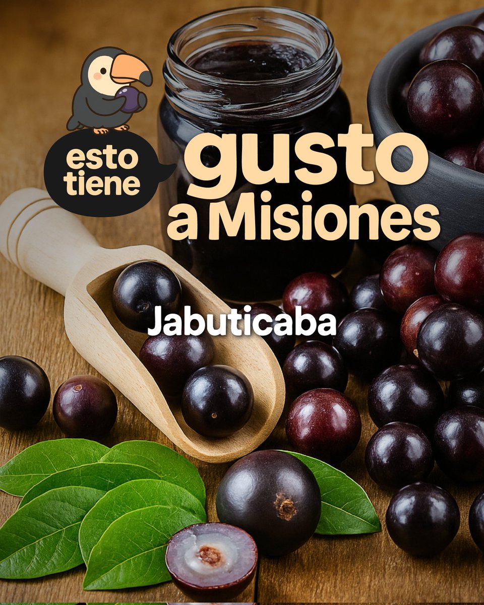 Gobierno de Misiones tweet media