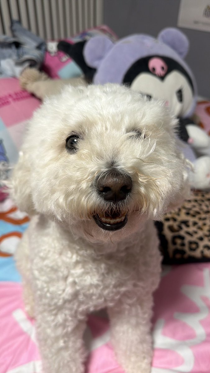 Pandora 🤍 tweet media