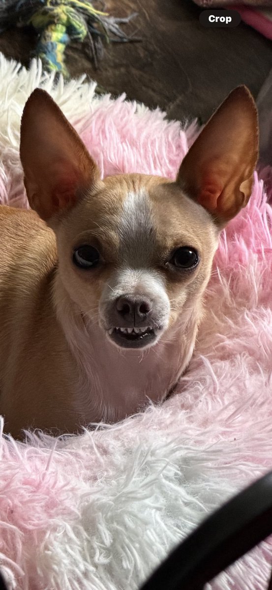 SatsChiChi's tweet photo. Just smiling to show my pearly whites https://t.co/XhSbHS5akU