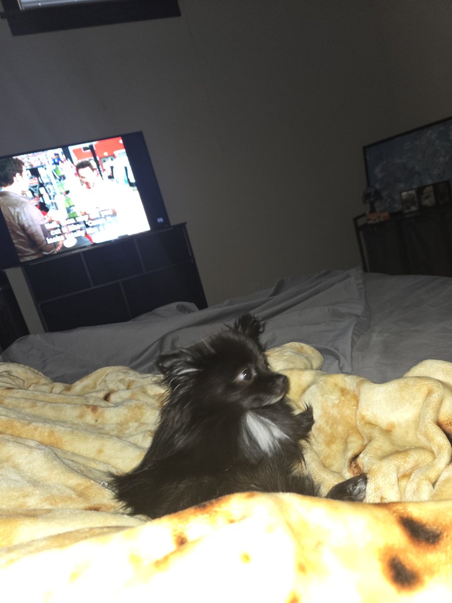 How is she such a fucking bed hog at 4.5lbs?!