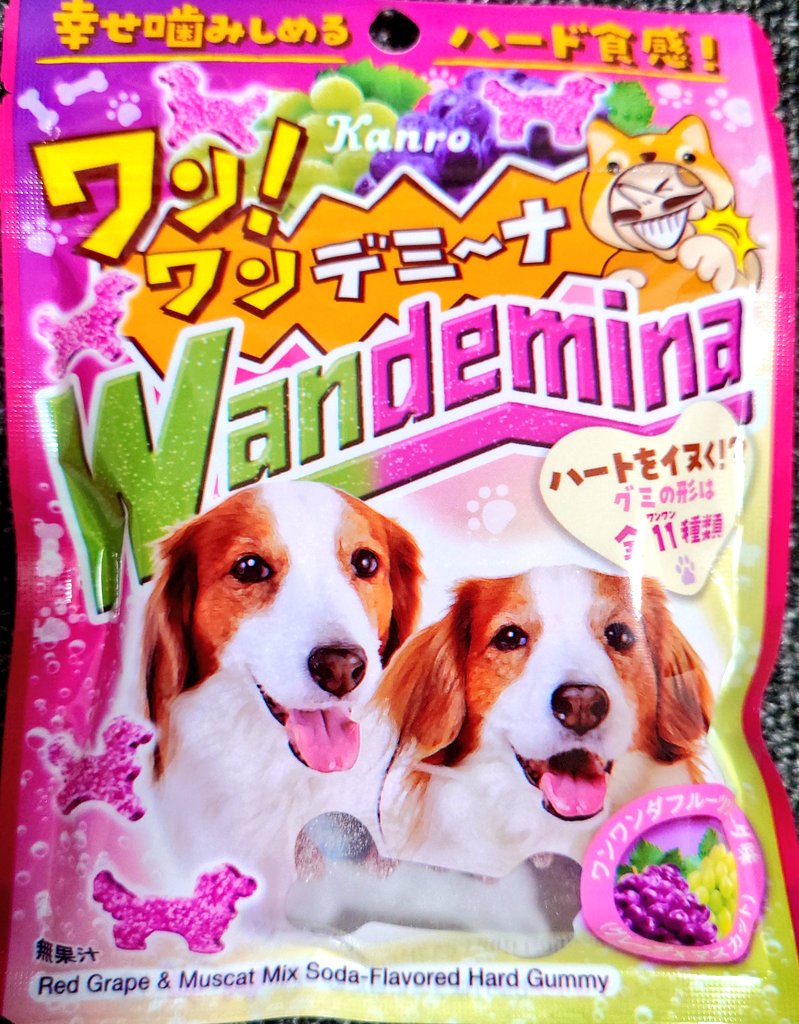 たけちゃん〔@.love〕 (@lovelove_animal) / Posts / X