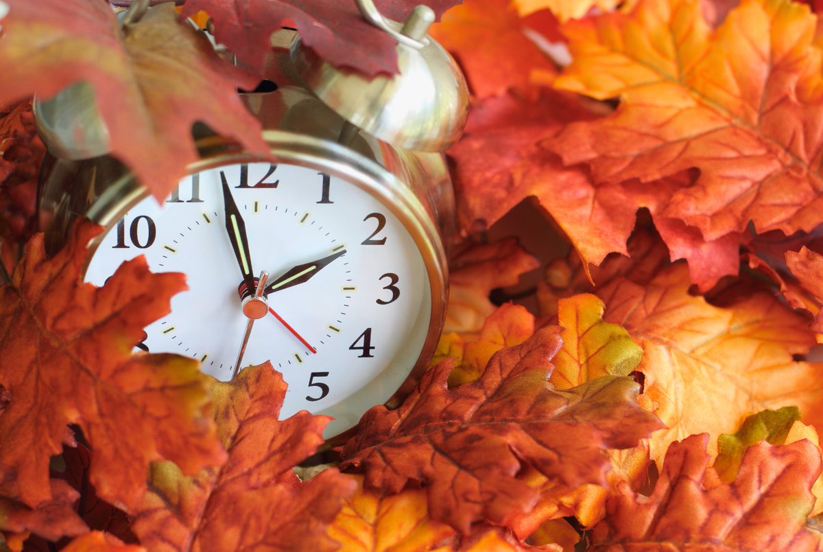 Sam Noble Museum tweet media