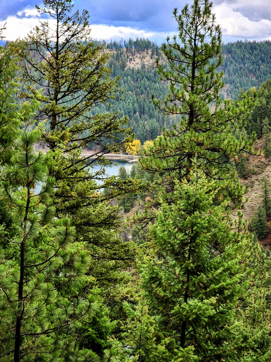 November can be beautiful to