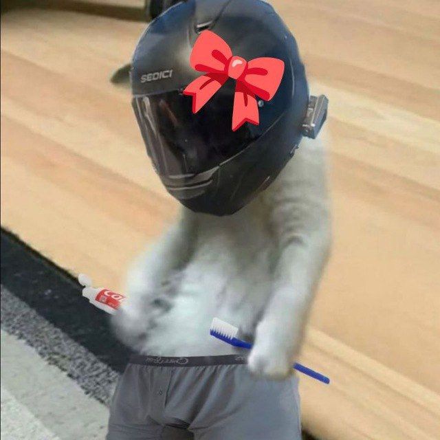 0cortex0's tweet image. 