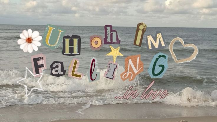 Shie ☀️ tweet media