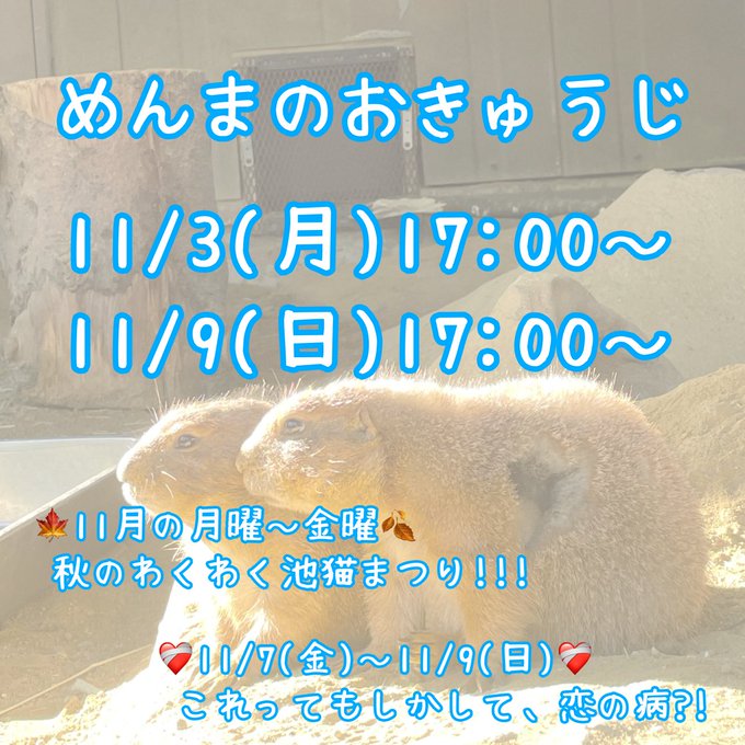 みけねこカフェ池袋店のツイート