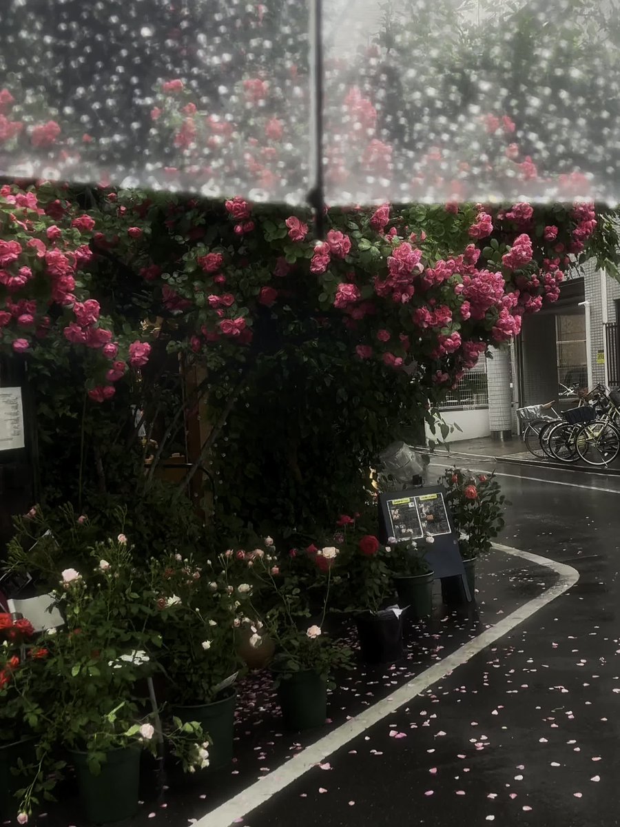 عاشق لحم الخنزير المقدد الحائز على جائزة.  الطالب الذي يذاكر كثيرا في السفر صديق محب.  متعصب للكحول مدى الحياة.  معلم الزومبي المتواضع بشكل مثير للغضب.