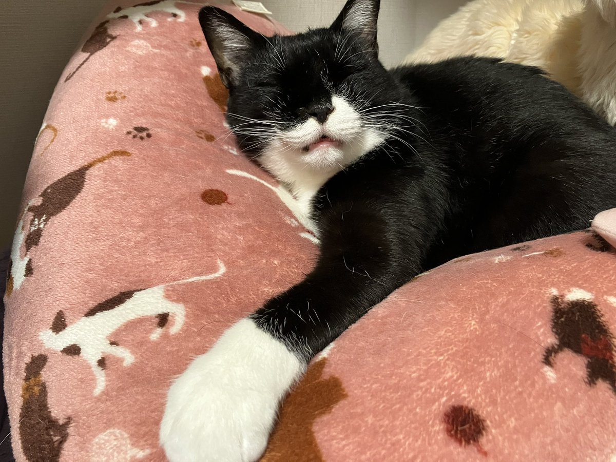 gigaburu1985's tweet image. 