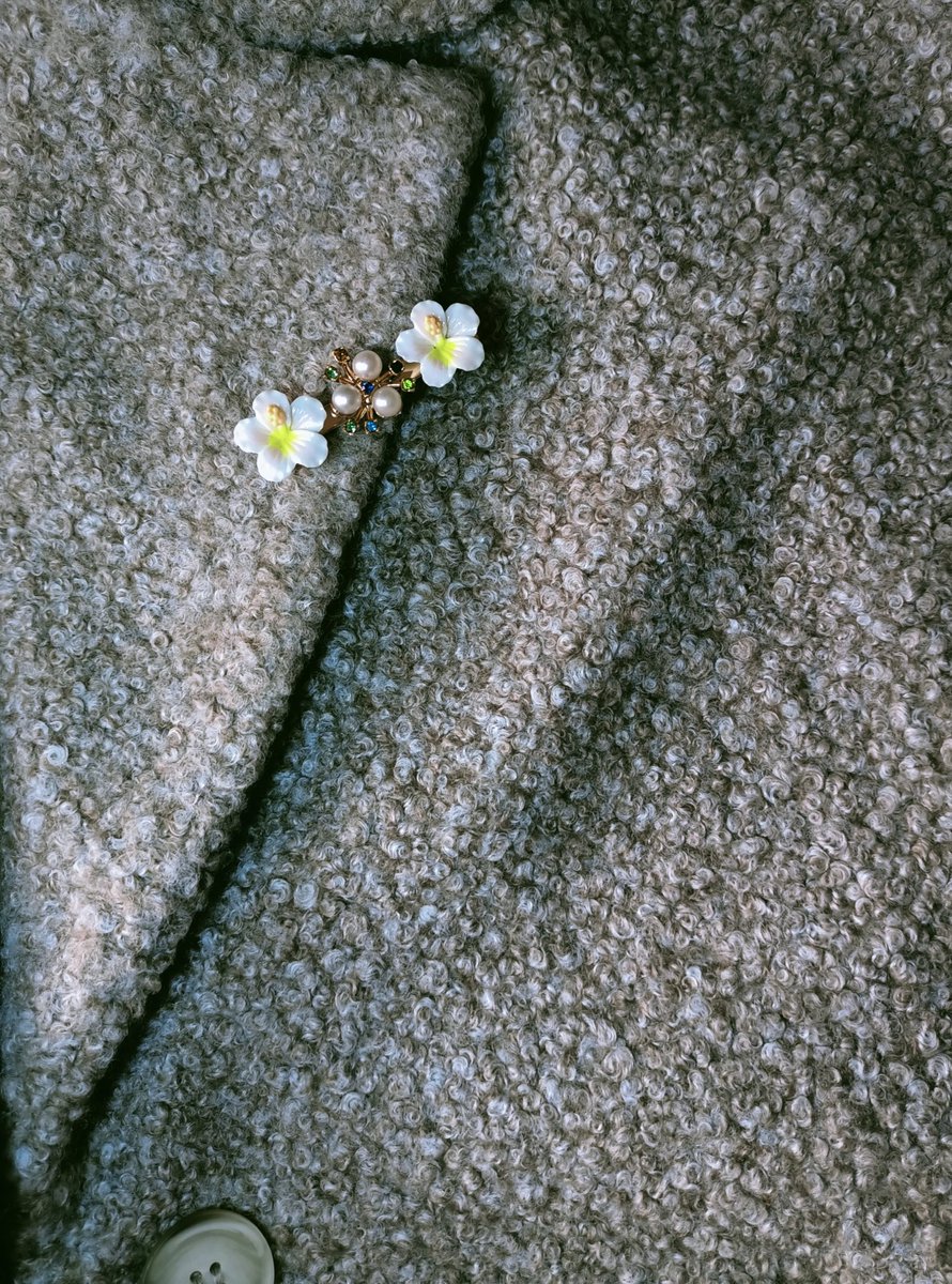 Tokalarımı artık broş olarak kullanıyorum 🌷