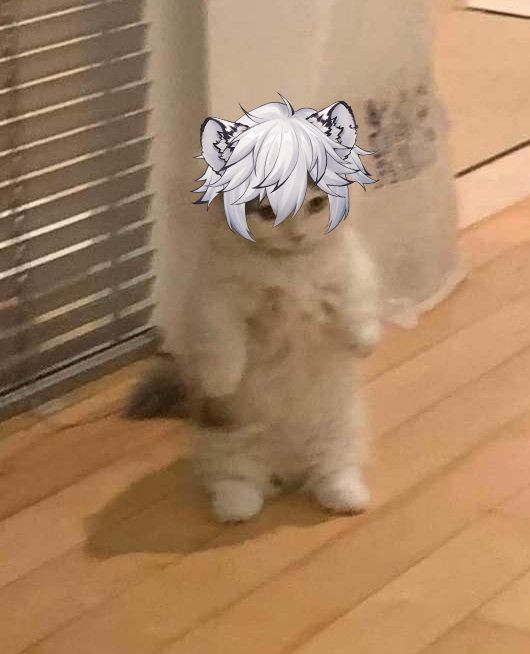 THIS TIGER IS LIVE RIGHT NOW ON THE INTERWEBS

YES THAT'S ME IN THE PICTURE DON'T ASK

🔴 LINK IN BIO