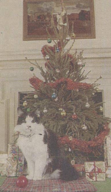 Humphrey the cat pictured at Christmas in 1996 via The British News Paper Archive