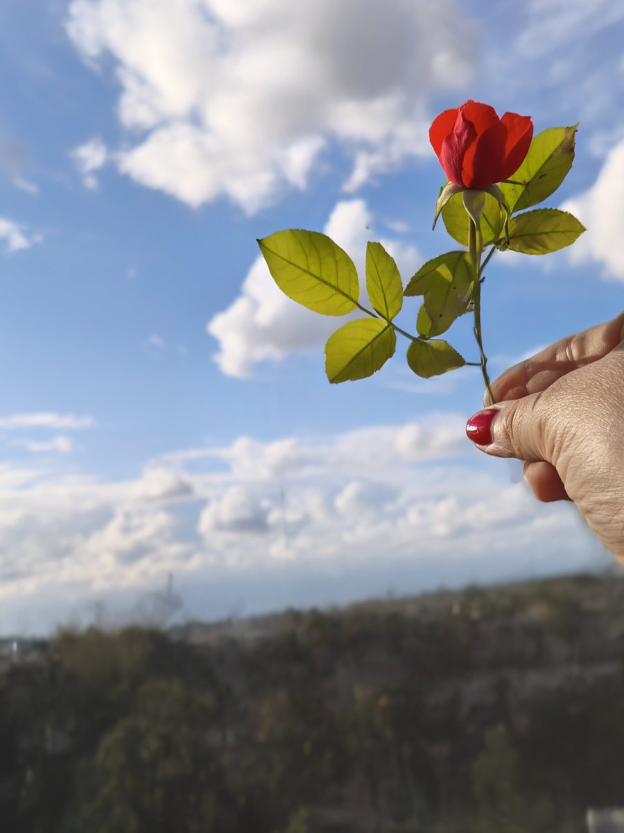 🌼
<a href="/SalaLettura/">©️ Il Caffè Letterario</a>
#SalaLettura
#VaPensiero 

Amare cos'è...
è ascoltare in silenzio la luna
È perdere te...
e soffrir senza fare rumore
Amare di più...
è una dolce follia
è anche un po' colpa mia

(Umberto Tozzi)

~mia🌹~