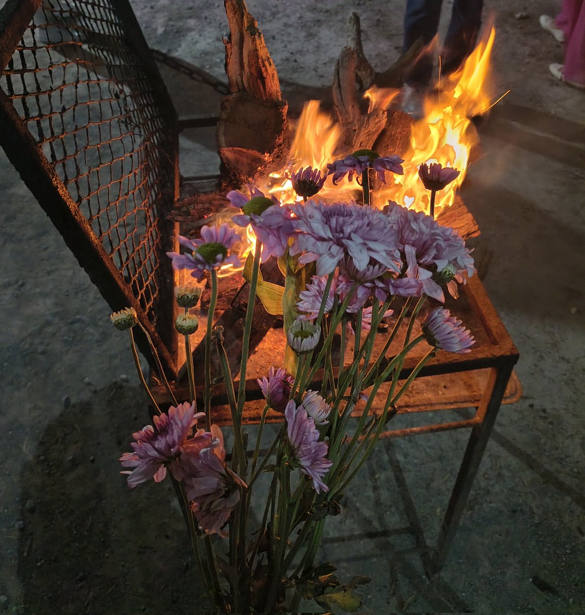 ilbfong's tweet photo. Me regalaron flores https://t.co/3G3UeJsUEM