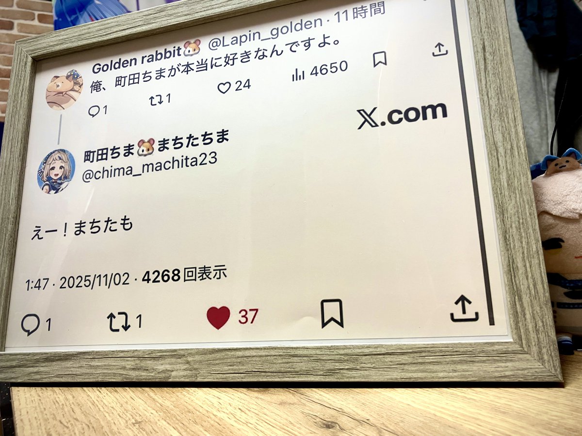 Golden rabbit🐹 (@lapin_golden) on Twitter photo 