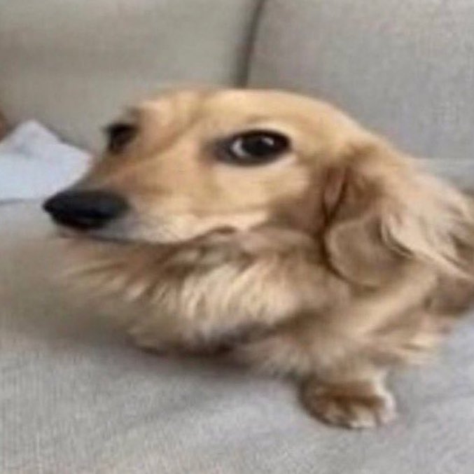 megumi (@fushiproroblox) on Twitter photo 