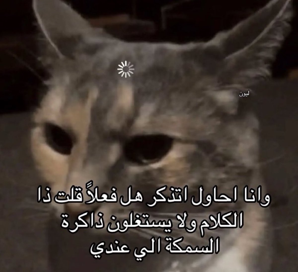 لماذا نحن هنا ؟ (@saudidadjokes) on Twitter photo 