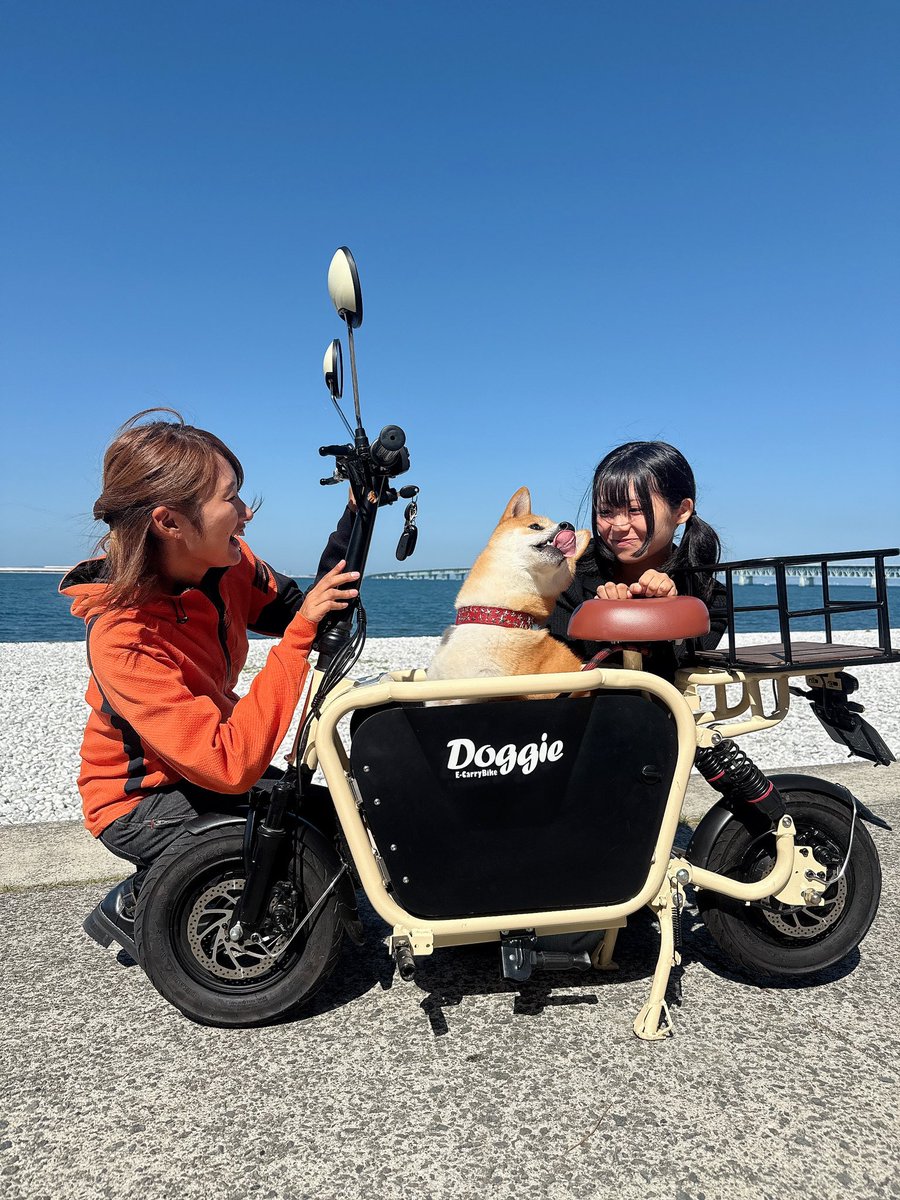 素人御免】HPS TAKAHRU NAKAI 155cm たはらかすみ☆ZX10R☆ZX25R