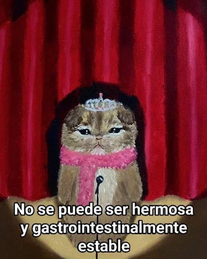 Frases Barbie (@barbie_context) on Twitter photo 