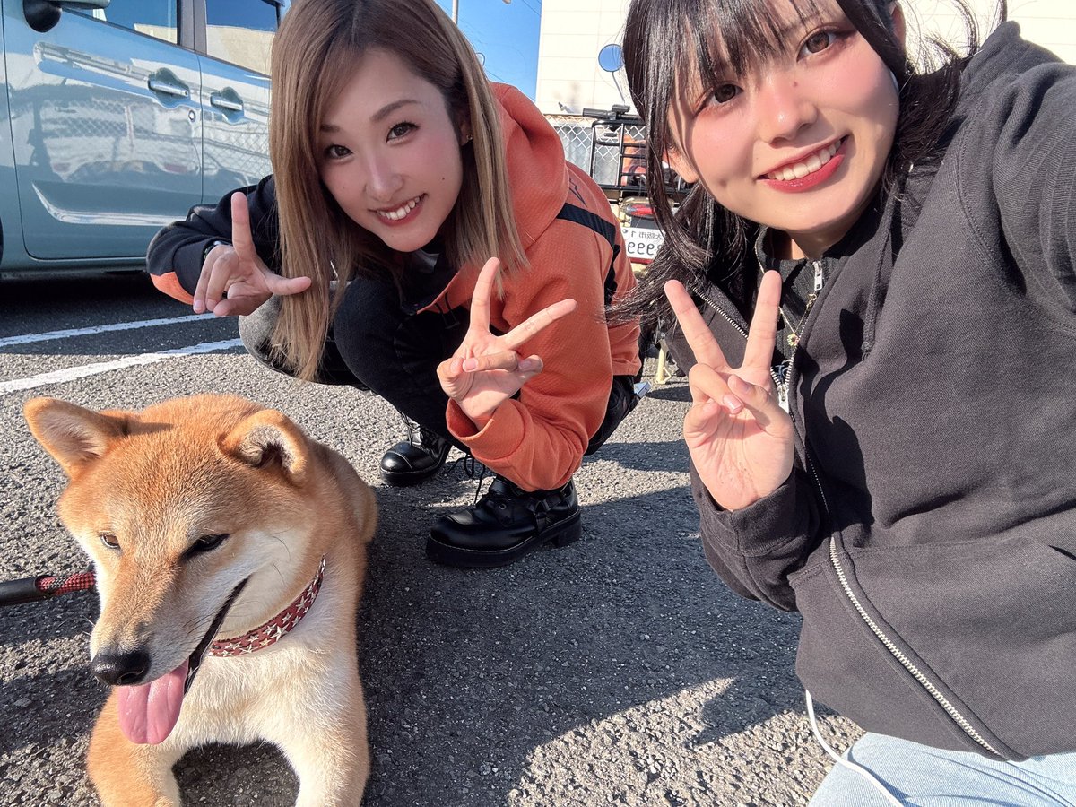 かすみ様 ラブカ】中須かすみ【P】PL!N-bp1-002-P - C-labo OnlineShop