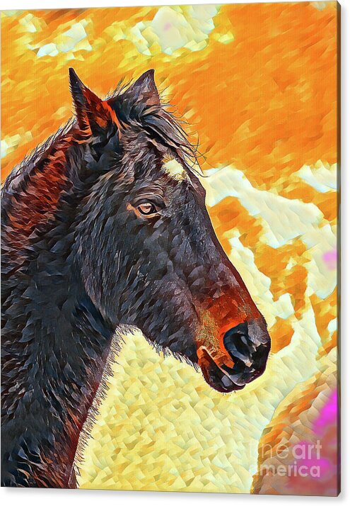 Andrzej Bajer tweet media