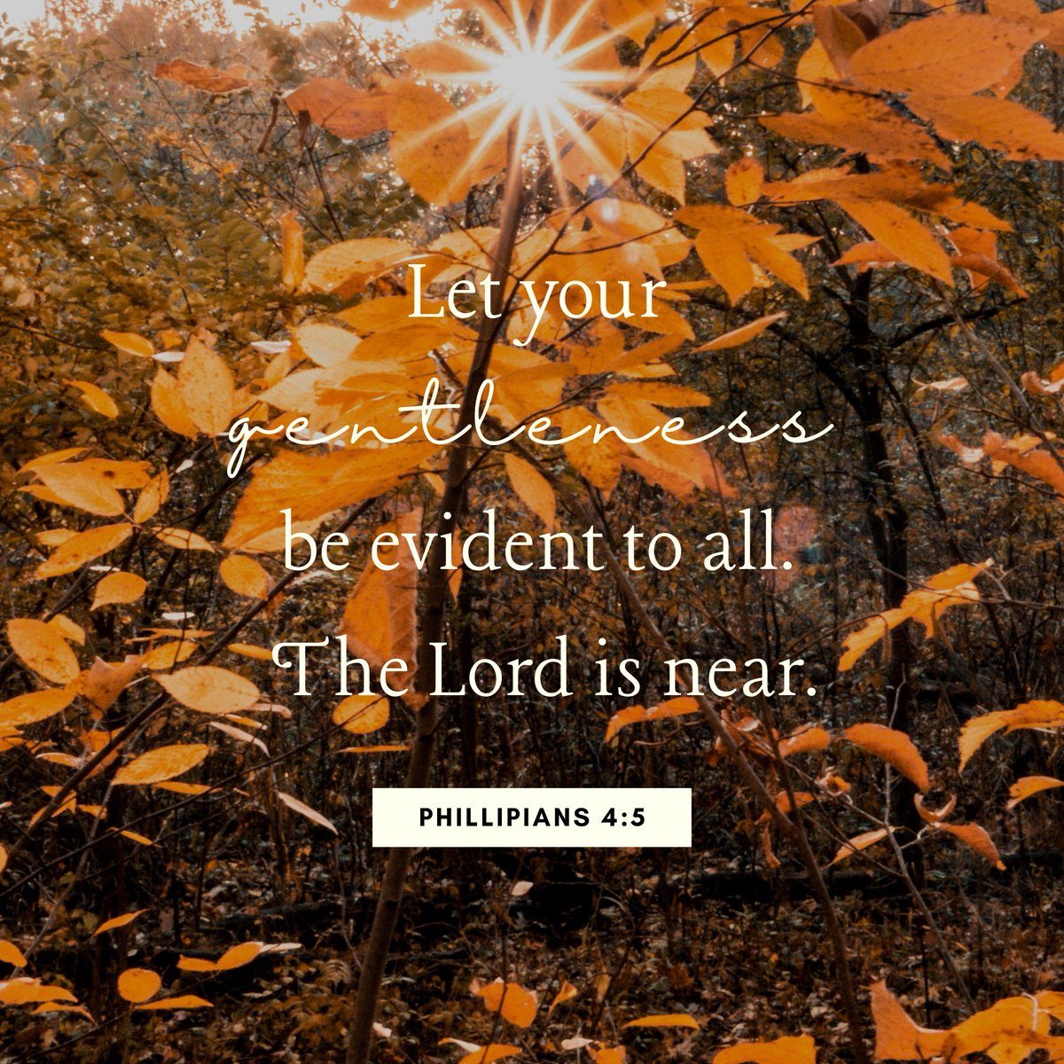 CRMJax's tweet photo. Scripture Sunday https://t.co/ckWikkimck