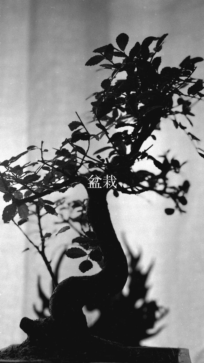 blcklstdpthy's tweet image. :)