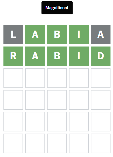 blanchi ﹒ 🦋 tweet media