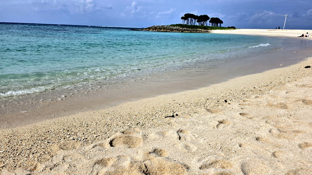 ZX-14(2008)株主優待族 on X