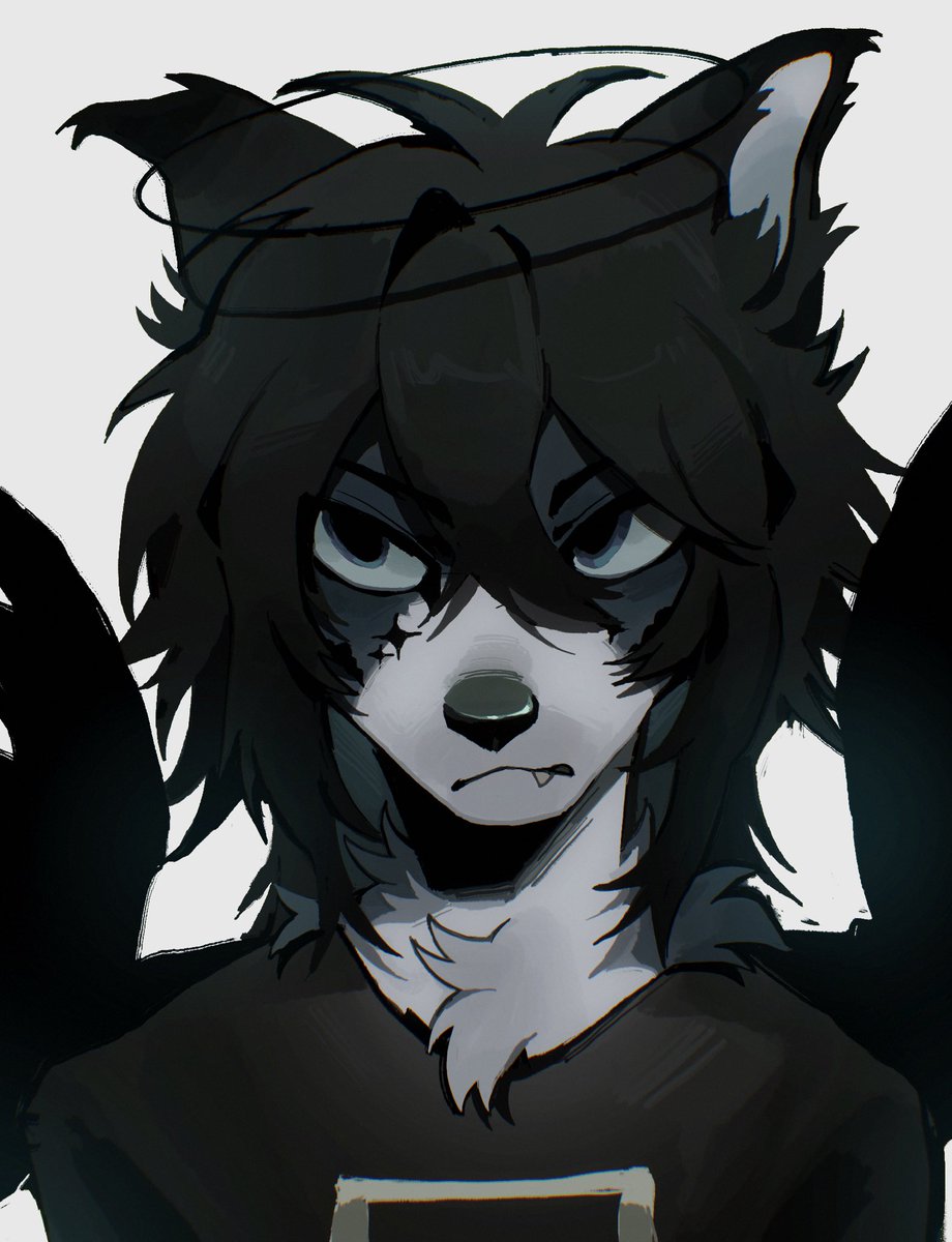 ✦ 𝗩𝗘𝗡𝗡 tweet media