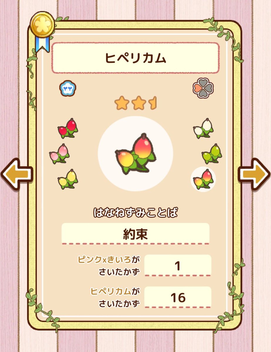 ピンク×きいろのヒペリカム交配用セット ・ピンク3 ・きいろ3