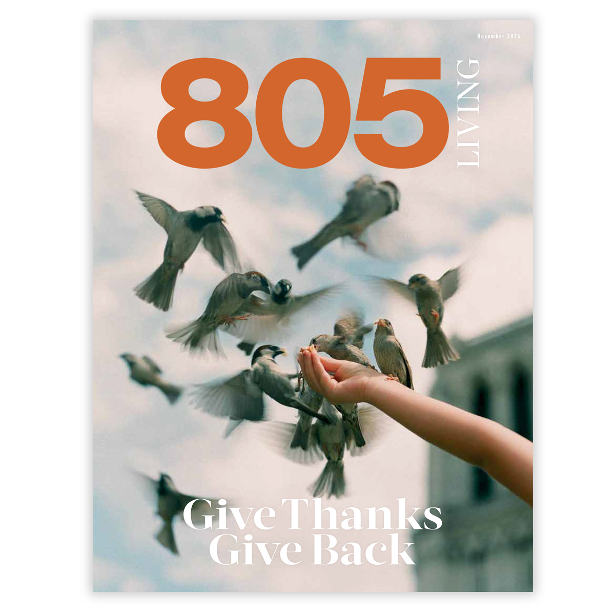 805 Living tweet media