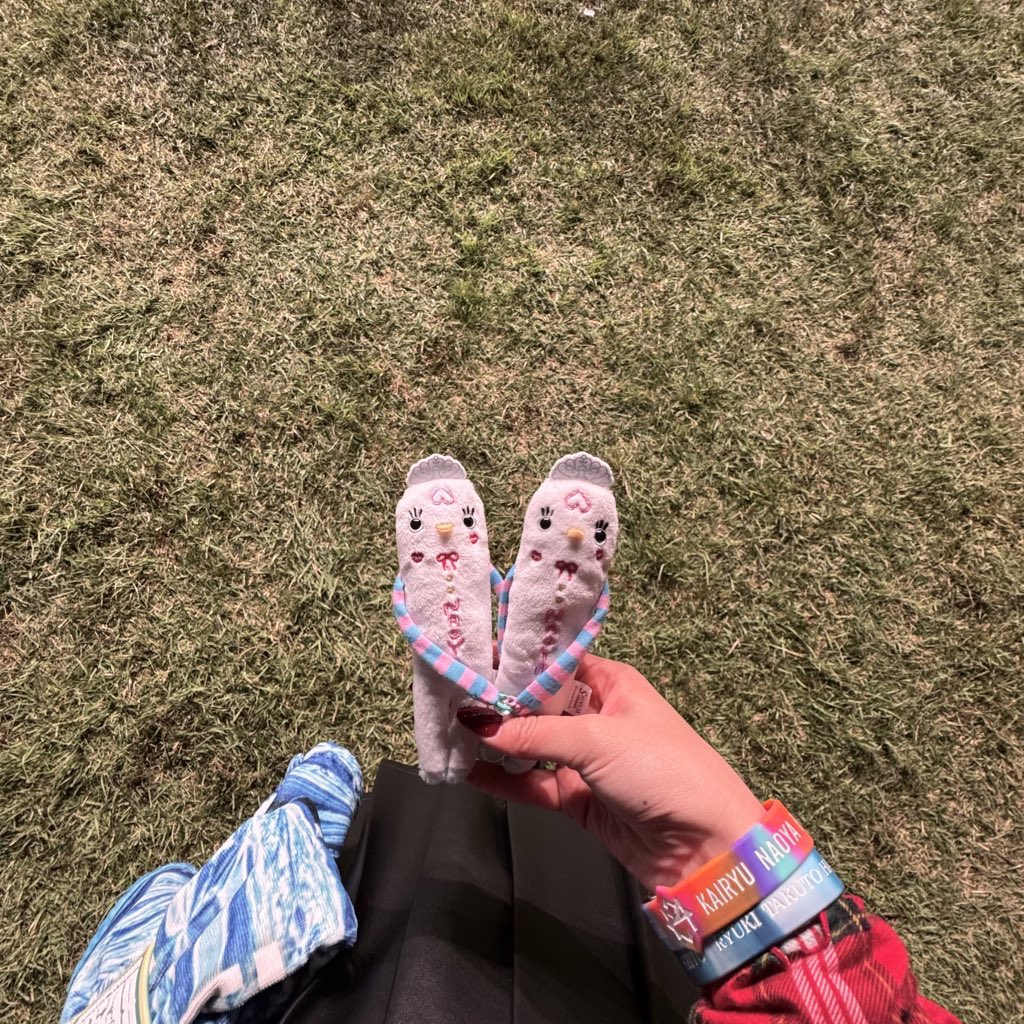 おまつ 中古】【未使用】調節可能な温度制御とタッチ付き電気フード