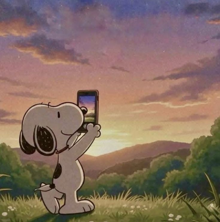 TuBaoBao tweet media