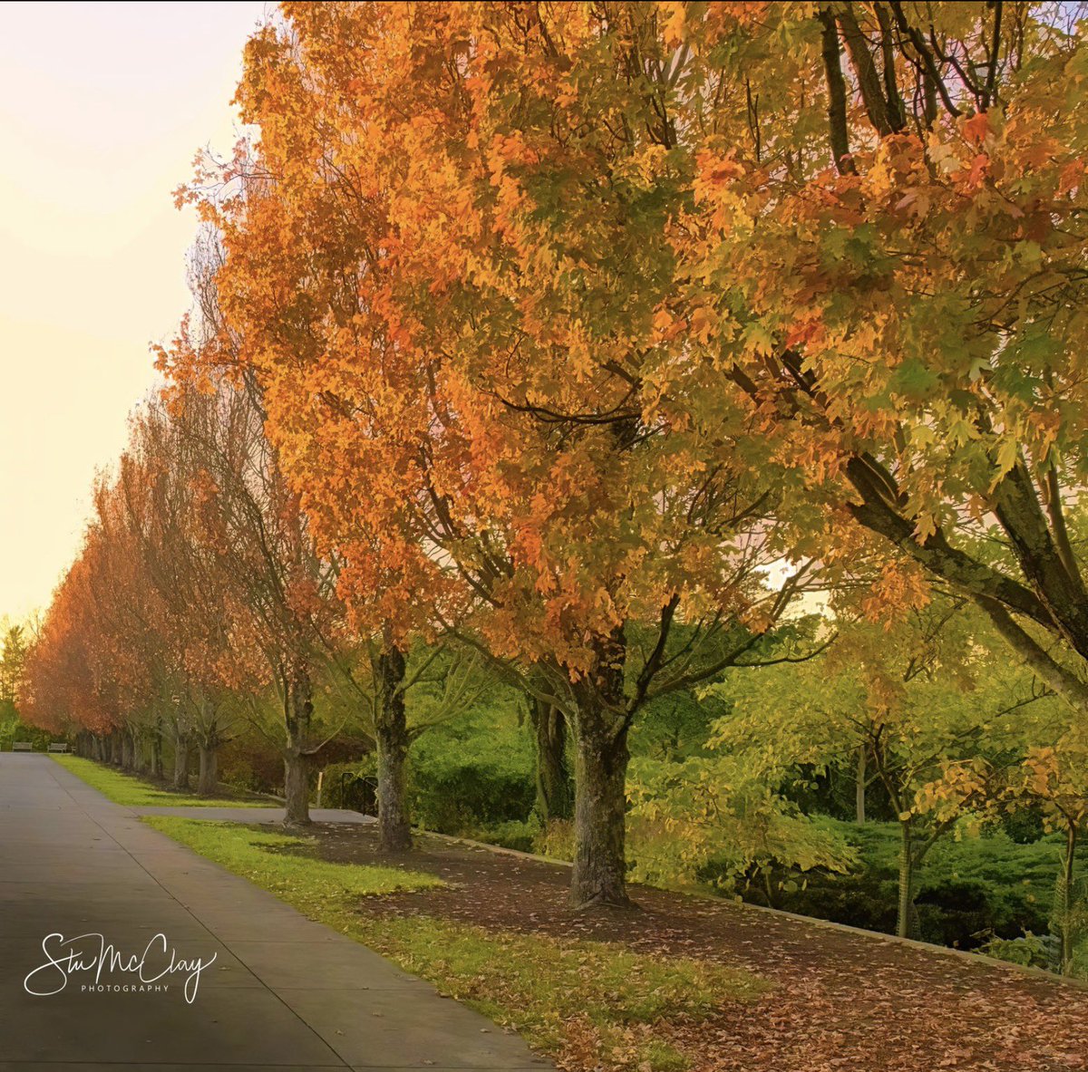 Ault Park, Cincinnati.