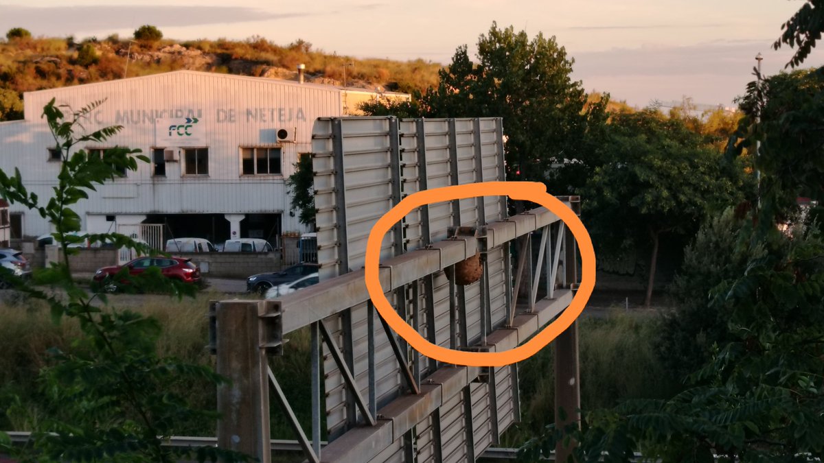 Connecta amb Dani Amo tweet media