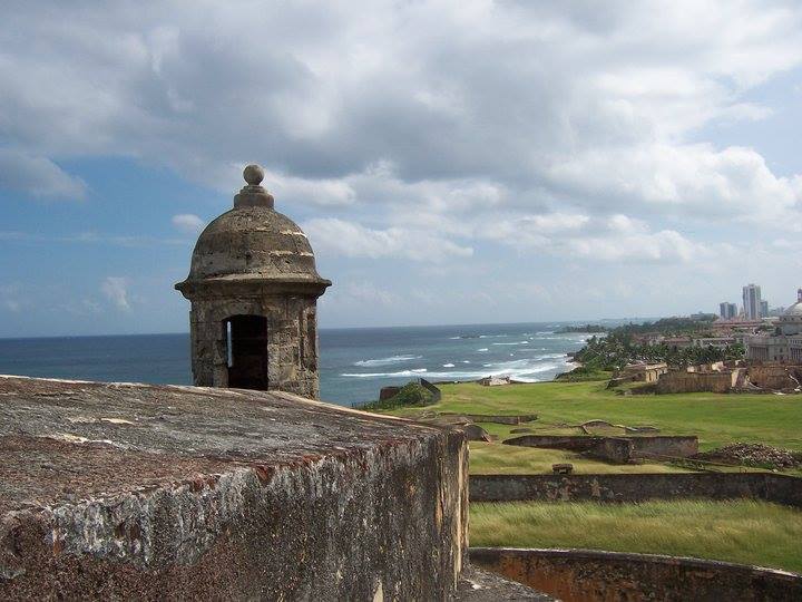 Leisa Travel tweet media