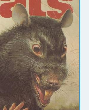 dr72w_david's tweet image. I utterly dispise how Reform UK scum were all trying to link last nights violence, to the migration debate again. Spot the Difference below!  #NeverReform