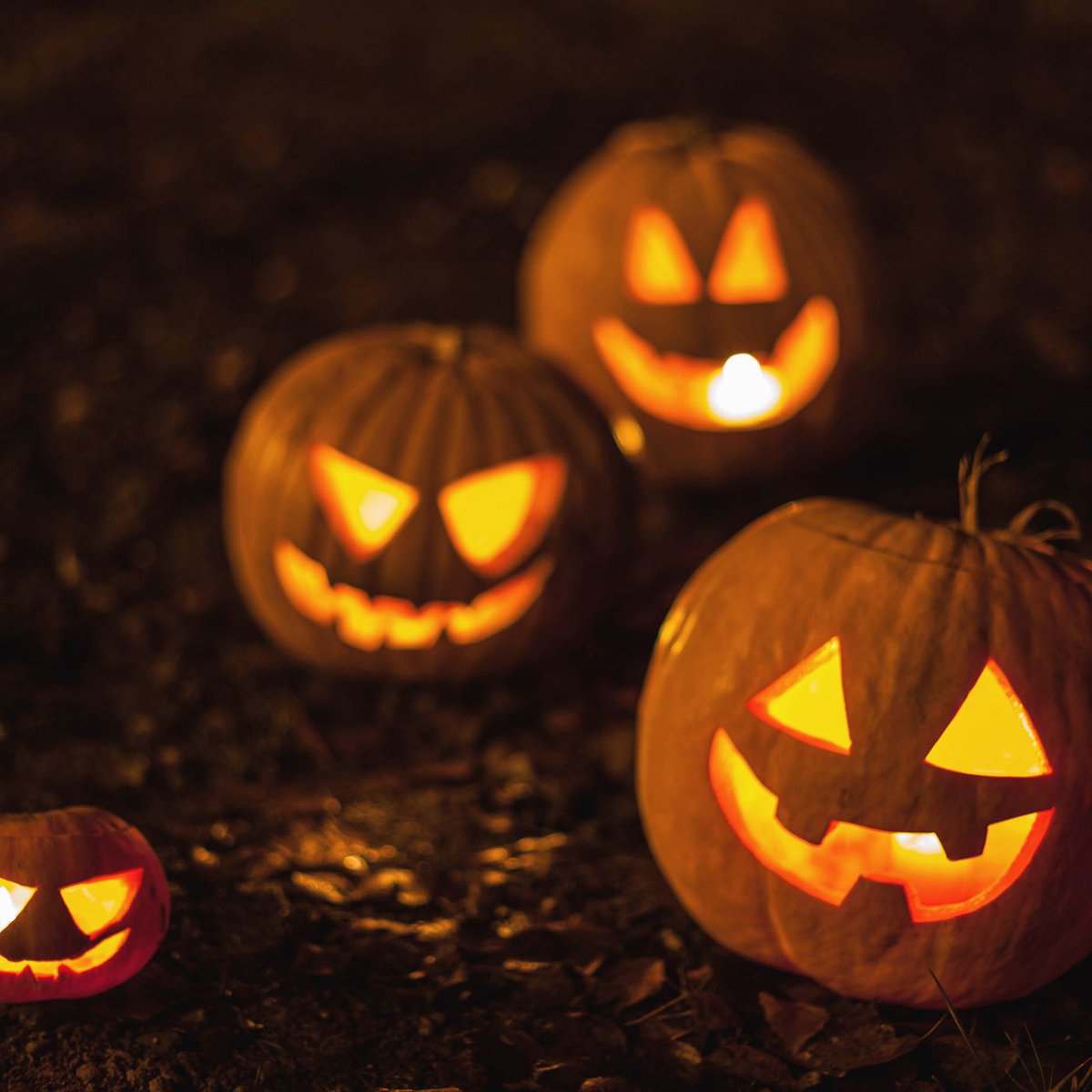 362 days until Halloween 2026! 🎃
Are you ready? 
#Halloween