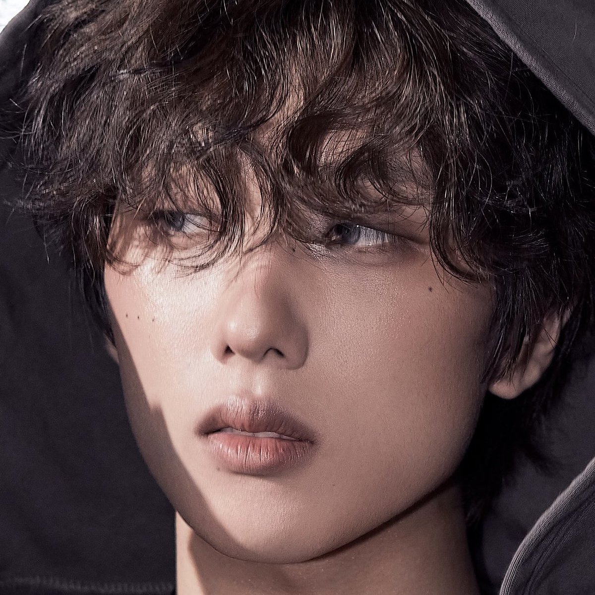 ㄱㅈ ✿ 지대세 ˚ 𝒿𝒾𝓁𝑜 ⊹ tweet media