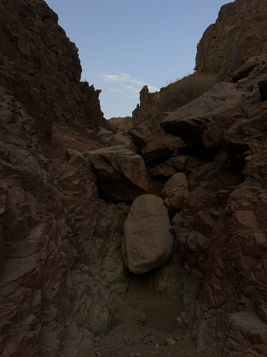 Waleed Alqabsi 🇸🇦 tweet media