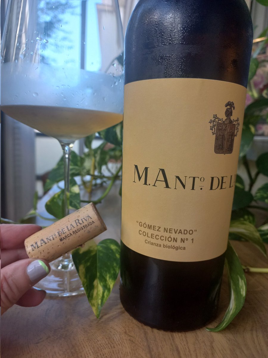 Susana Moralejo tweet media