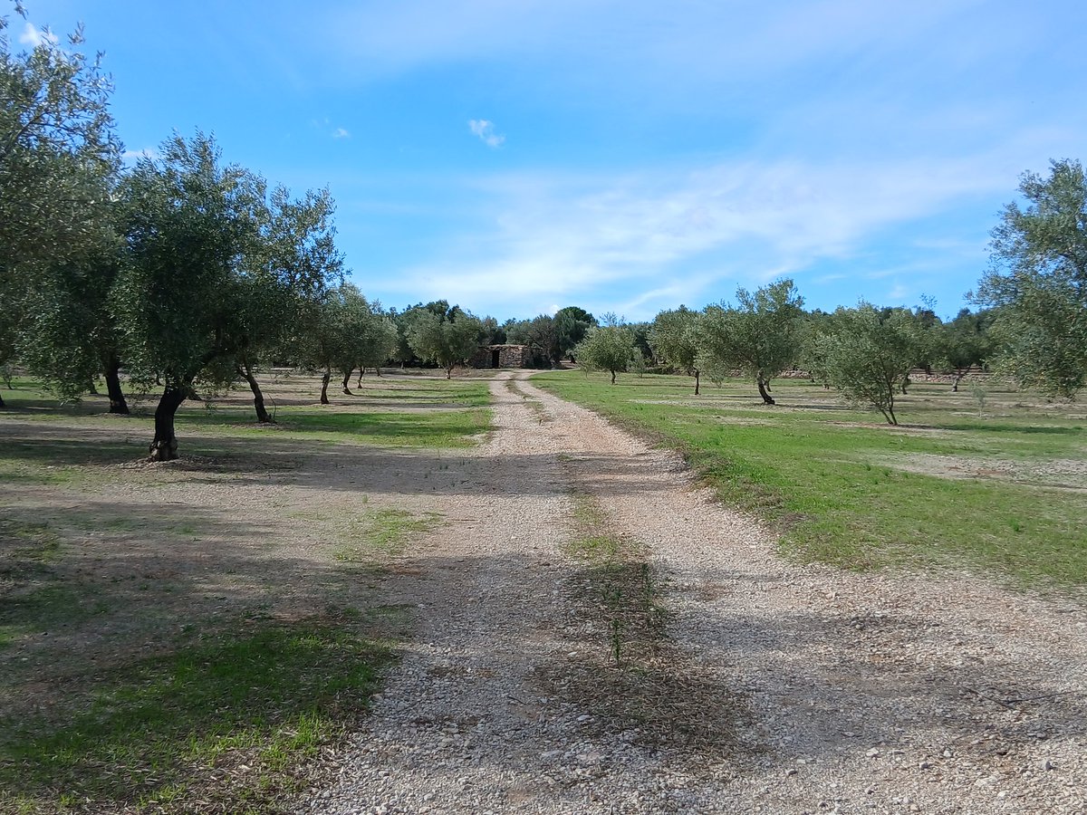 Muntanya Valenciana tweet media