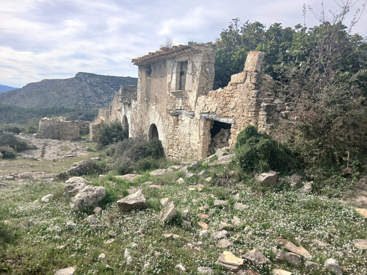 Muntanya Valenciana tweet media