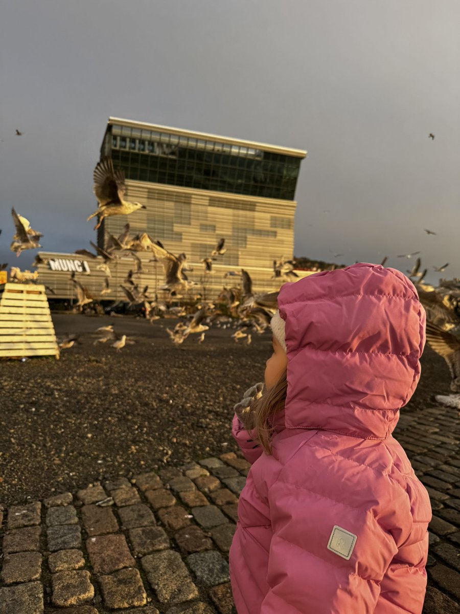 bektejan's tweet image. When #Oslo decides to show off during golden hour… no filter needed! ☀️🌅#ScandinavianVibes