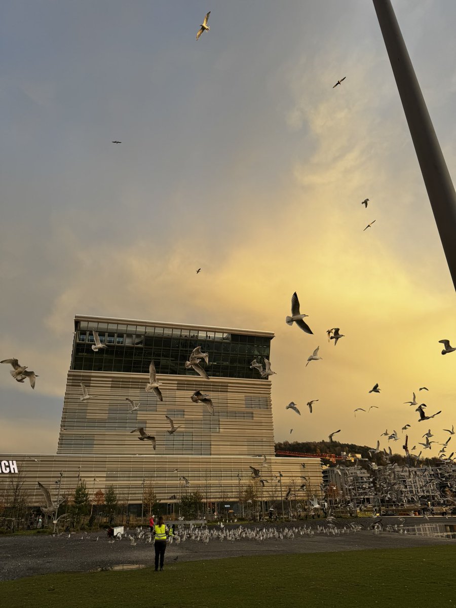 bektejan's tweet image. When #Oslo decides to show off during golden hour… no filter needed! ☀️🌅#ScandinavianVibes